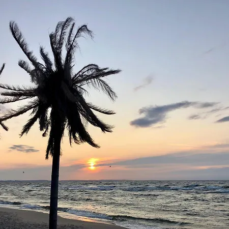 Nature&eco * Miedzyzdroje